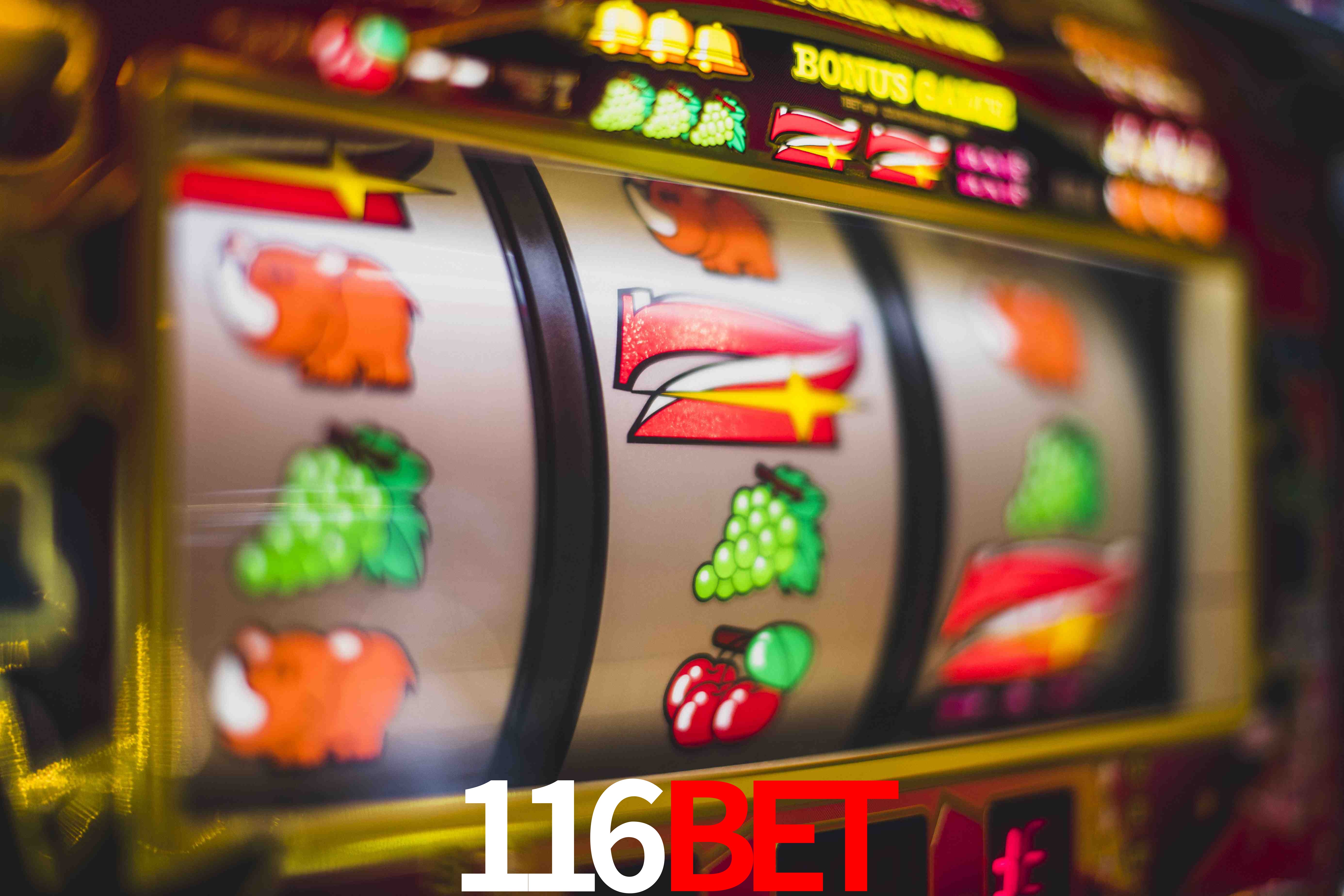 Secure Login 116bet