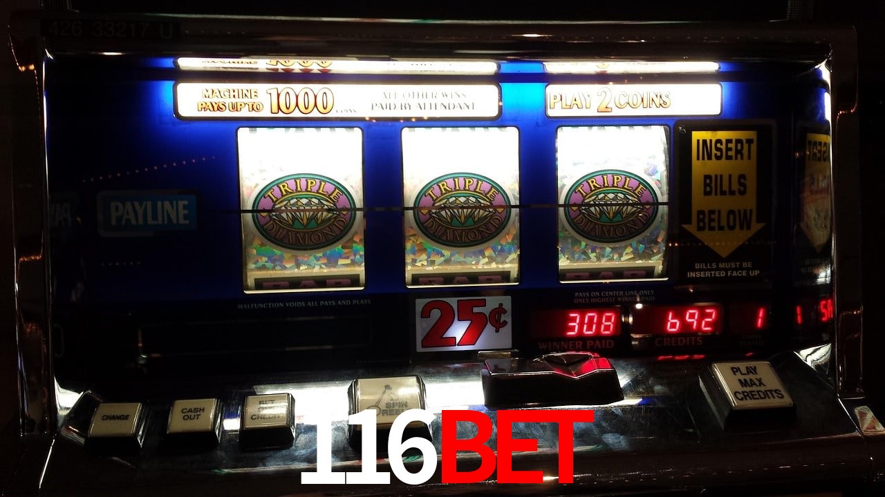 2FA Security 116bet