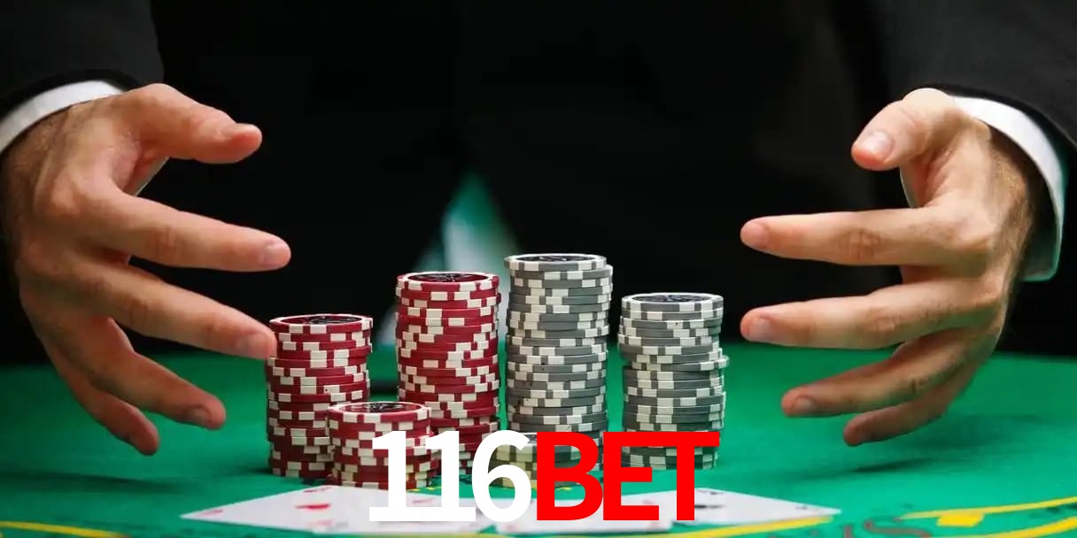 116bet login